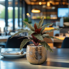 Calathea 30cm Kunstplant groen/rood