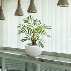 Chamaedorea kunstpalm 65cm