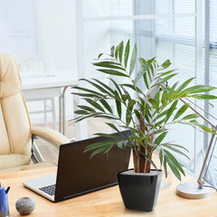 Chamaedorea kunstpalm 65cm