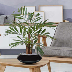 Chamaedorea kunstpalm 65cm