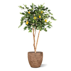 Citroen Kunstplant 120cm