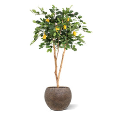 Citroen Kunstplant 120cm