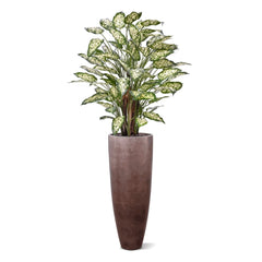 Dieffenbachia Kunstplant 110cm Deluxe