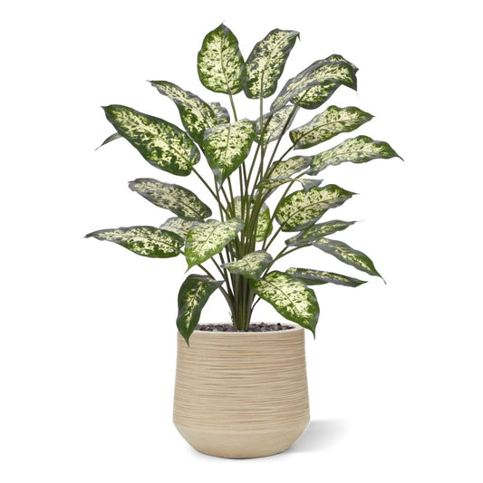 Dieffenbachia Kunstplant 75cm Deluxe