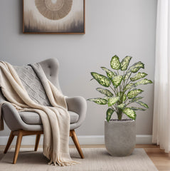 Dieffenbachia Kunstplant 75cm Deluxe