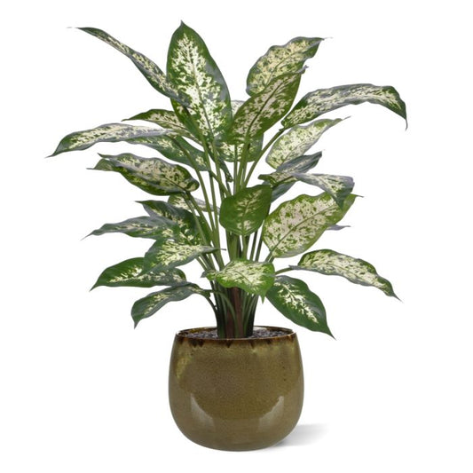 Dieffenbachia Kunstplant Deluxe 60cm in pot