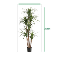 Draceana Marginata Kunstplant Deluxe 160cm