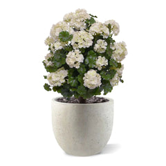 Geraniumbol kunstplant 70cm UV crèmewit