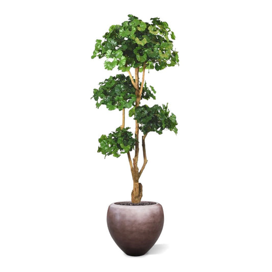Ginkgo Bonsai deluxe kunstboom 170cm