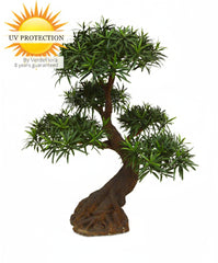 Luxe kunst Podocarpus Bonsai x5 90 cm met UV-bescherming