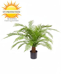Potted plant with UV protection label on a white background