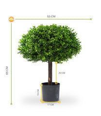 Kunstbuxus voor buiten 1/2 bol op stam 65 cm UV-bestendig