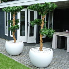 Kunst Podocarpus bonsai voor buiten, 160 cm, UV-bestendig