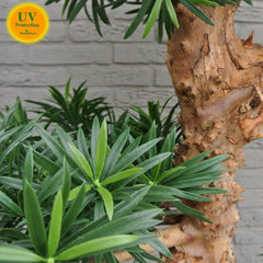 Kunst Podocarpus bonsai voor buiten, 160 cm, UV-bestendig