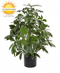 Kunstplant Schefflera voor buiten 50 cm met UV-bescherming