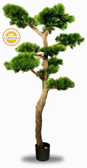 Luxe kunst Pinus Bonsai boom XL met UV-bescherming