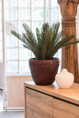 kunst Cycas Palm 60 cm UV beschermd