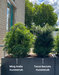 Kunstplant voor buiten Ming Aralia groen UV-bestendig