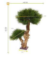 Kleine kunst Pinus Bonsai boom 55 cm UV voor buiten