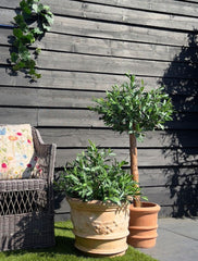 Kunst olijfboom voor buiten op stam 120cm UV