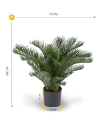 kunst Cycas Palm 60 cm UV beschermd