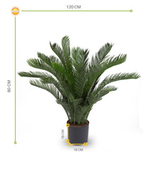Buiten kunst Cycas Palm 80 cm UV beschermd