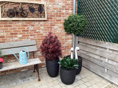 Kunst Ilex bol op stam voor buiten 135 cm UV-bestendig