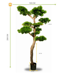 Luxe kunst Pinus Bonsai boom XL met UV-bescherming