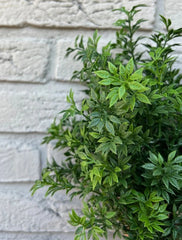 Kunststruik Eucalyptus 30 UV