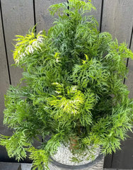 Kunstplant voor buiten Ming Aralia groen UV-bestendig