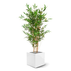 Hoge kunst Bamboeplant 120 cm UV-beschermd