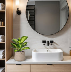 Dieffenbachia Kunstplant 25cm