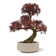 Kunst bonsai Ming Aralia voor buiten in de kleur bordeauxrood met geteste UV-garantie