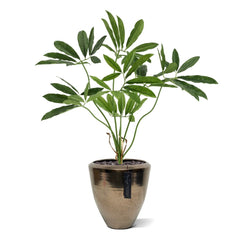 Philodendron Fun Bun Kunstplant 80cm Deluxe