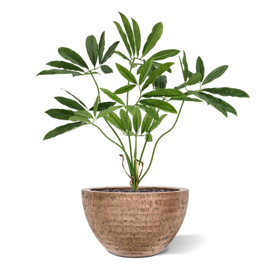 Philodendron Fun Bun Kunstplant 80cm Deluxe