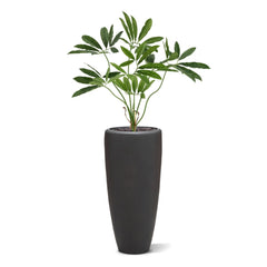 Philodendron Fun Bun Kunstplant 80cm Deluxe