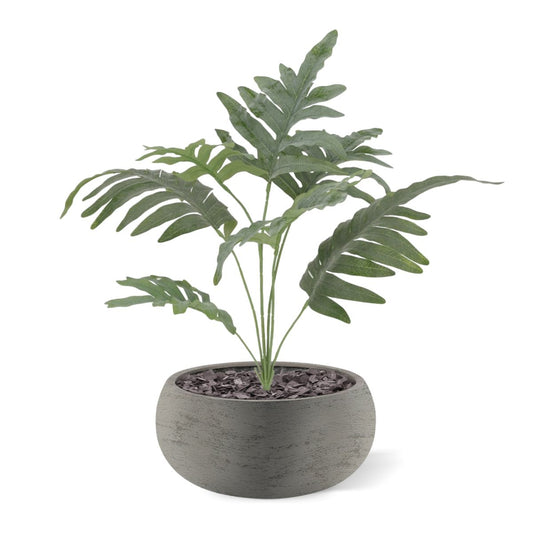 Phlebodium Blauwvaren Kunstplant 60cm