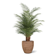Phoenix Kunstpalm deluxe 150cm