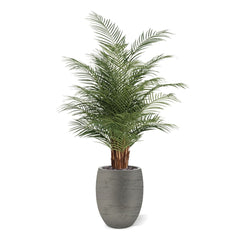 Phoenix Kunstpalm deluxe 150cm