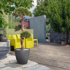 Kunst bonsai Pinus voor buiten 110 cm UV