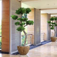 Luxe kunst Pinus Bonsai boom XL met UV-bescherming