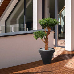 Kunstplant Podocarpus voor buiten op echte houten stam 70 cm met UV