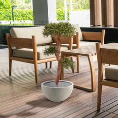 Kunst Podocarpus Bonsaiboom 105 cm UV voor buiten