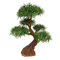 Luxe kunst Podocarpus Bonsai x5 90 cm met UV-bescherming