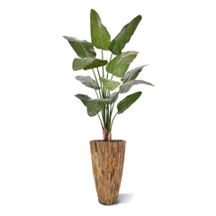 Strelitzia Nicolai deluxe Kunstpalm 170cm in pot