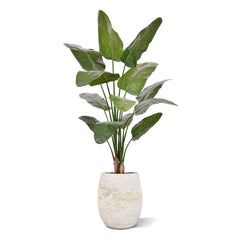 Strelitzia Nicolai deluxe Kunstpalm 170cm in pot