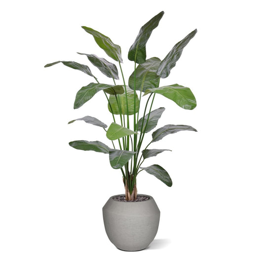 Strelitzia Nicolai deluxe Kunstpalm 200cm in pot