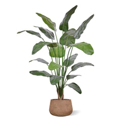 Strelitzia Nicolai deluxe Kunstpalm 200cm in pot