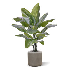 Strelitzia Nicolai XL Kunstpalm 125cm