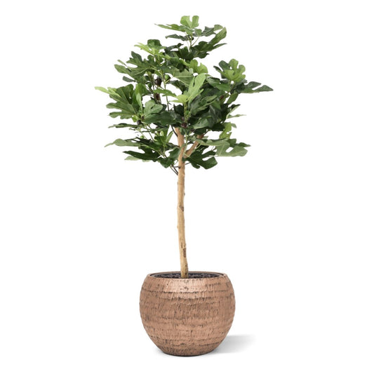 Vijgen Kunstplant op stam 110cm